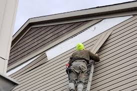 Affordable Siding Repair and Maintenance Services in Newton, TX